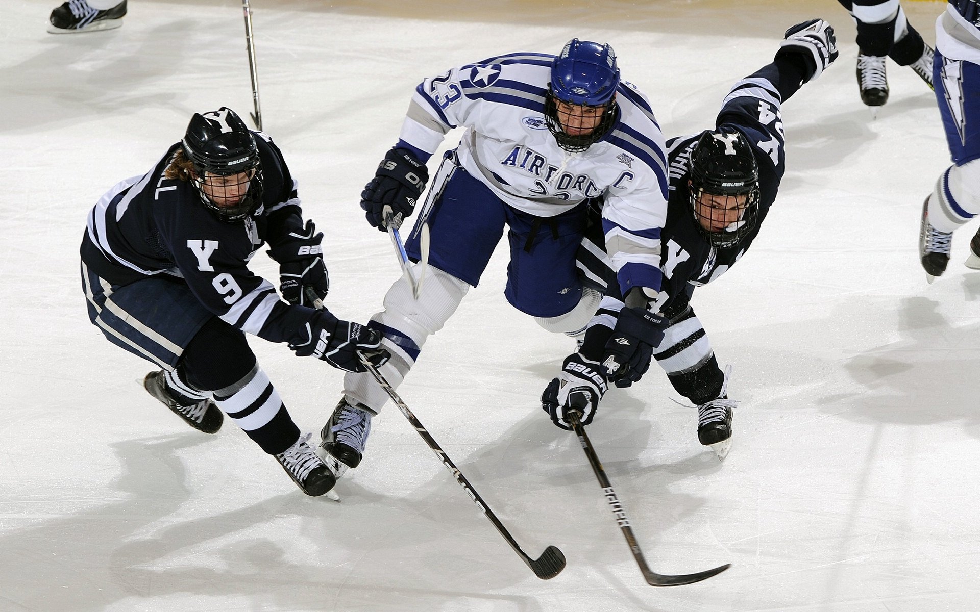 黄蜂球员赛后与球迷自拍气氛热烈，黄蜂错过的球星